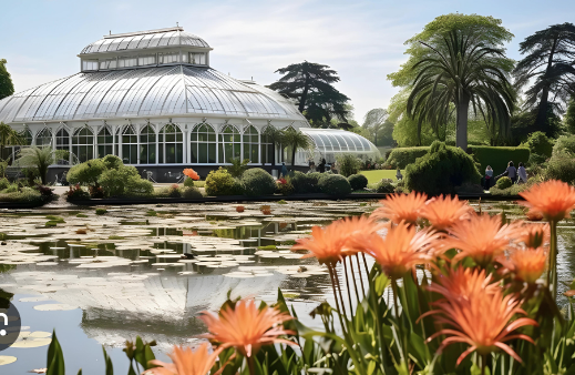 İngiltere'deki botanik bahçesi Kew Gardens'ın yarısı iklim değişikliği nedeniyle risk altında
