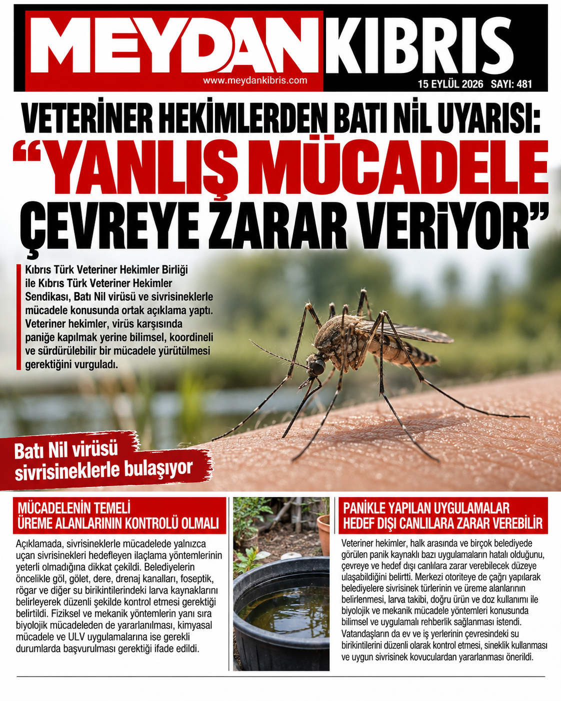 Manşet